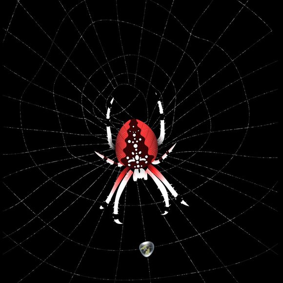 The Red Widow Spider - Picture 2 of 2